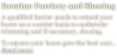 Routine Farriery and Shoeing A qualified farrier needs to attend your  horse on a routine basis to undertake  trimming and if necessary, shoeing.    To ensure your horse gets the best care.. Read more