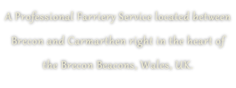 A Professional Farriery Service located between  Brecon and Carmarthen right in the heart of  the Brecon Beacons, Wales, UK.