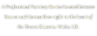 A Professional Farriery Service located between  Brecon and Carmarthen right in the heart of  the Brecon Beacons, Wales, UK.